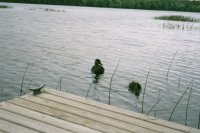 Wilderness / Senic / House Photos