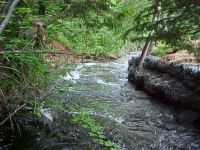Mill Trip Photos