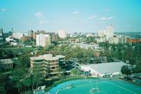 Saint Mary's V