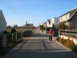 Pluznica