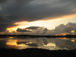 Summer 2006 - Miscellaneous (PEI)