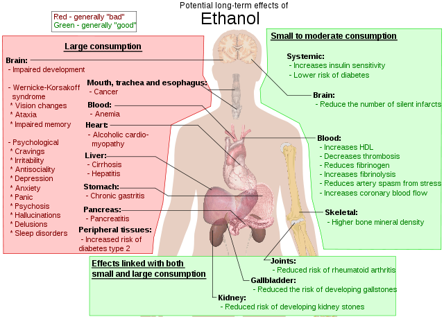 Possible long-term effects of ethanol Possible long-term effects of ethanol