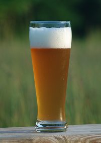 Wheat Beer